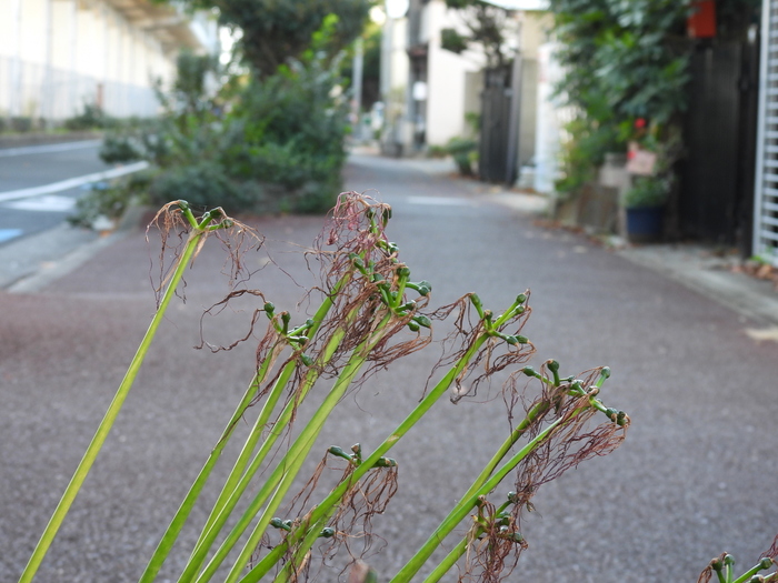 DSCN1053.JPG